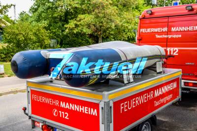 Ladenburg: Motorgüterschiff prallt gegen Eisenbahnbrücke - Führer verletzt - Wasserrettung Feuerwehr Mannheim im Einsatz