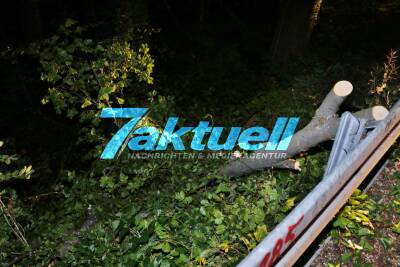 Unwettereinsatz für die Feuerwehr Schorndorf - Baum auf Straße