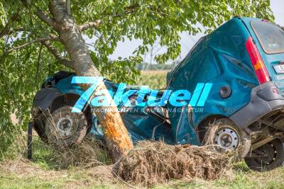 Tödlicher Crash: Transporter kommt von Fahrbahn ab und kracht seitlich gegen Baum - Fahrer stirbt noch am Unfallort