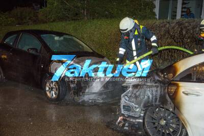 Autos und Hecke brennen im Wohngebiet - Vermutlich Brandstifter unterwegs