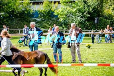 Impressionen Turnierreiten und Pferdemarkt Bietigheim Bissingen