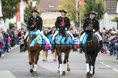 Fellbacher Herbst - in diesem Jahr wird die 70. Auflage gefeiert