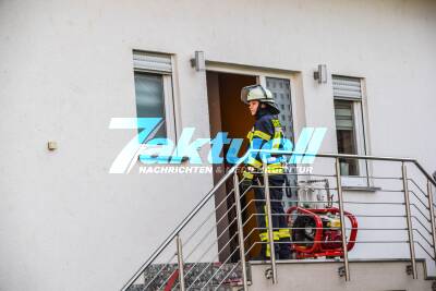 Küchenbrand: Feuerwehr rettet Hund aus Brandwohnung - Fritteuse mit Pommes setzen Küche in Brand - Bewohner verletzt