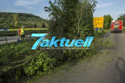 Tödlicher Horrorcrash auf B29: BMW kommt von Fahrbahn ab, kracht gegen Baum und überschlägt sich - 4 Verletzte und ein Toter