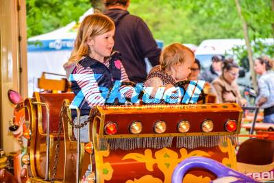 Traditionelles Loschter Handkeesfest lockt Tausende Besucher in den Maiblumenwald in der Pfalz