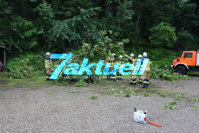 Baum stürzt auf mehrere PKWs - Feuerwehr mit Kettensägen im Einsatz