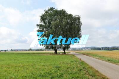 15-Jähriger vom Blitz erschlagen:  Zwei Jugendliche suchen Schutz unter Baum bei starkem Gewitter - Rettungsdienst kann nicht mehr helfen, Jugendlicher stirbt - Einsatz nach Starkregen und Gewitter bei Welzheim (Rems-Murr Kreis)