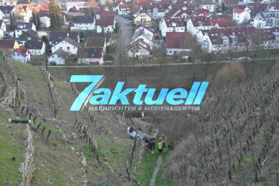 22-Jähriger fährt verbotswidrig in Weinberge und stürzt mit Audi 20 Meter tief ab – Fahrer verletzt