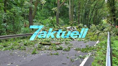Tödlicher Crash: Autofahrer 74 Jahre von Tonnenschwerem Baum erschlagen- Baumkrone ebenfalls bricht ab und kracht aufs Auto - Ein Mann (74) wird während der Fahrt erschlagen 