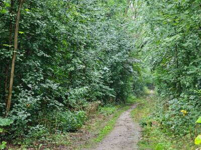 LEIPZIG: 
Pressemitteilung Polizei Leipzig: 
Med...