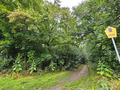 LEIPZIG: 
Pressemitteilung Polizei Leipzig: 
Med...
