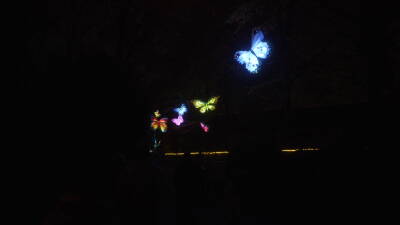 Wenn die Tage kürzer werden, erstrahlt das Blühend...