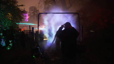 Wenn die Tage kürzer werden, erstrahlt das Blühend...