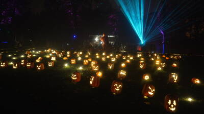 Wenn die Tage kürzer werden, erstrahlt das Blühend...