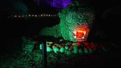 Wenn die Tage kürzer werden, erstrahlt das Blühend...